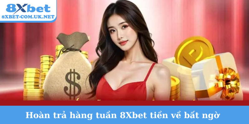 Hoàn trả hàng tuần 8Xbet tiền về bất ngờ