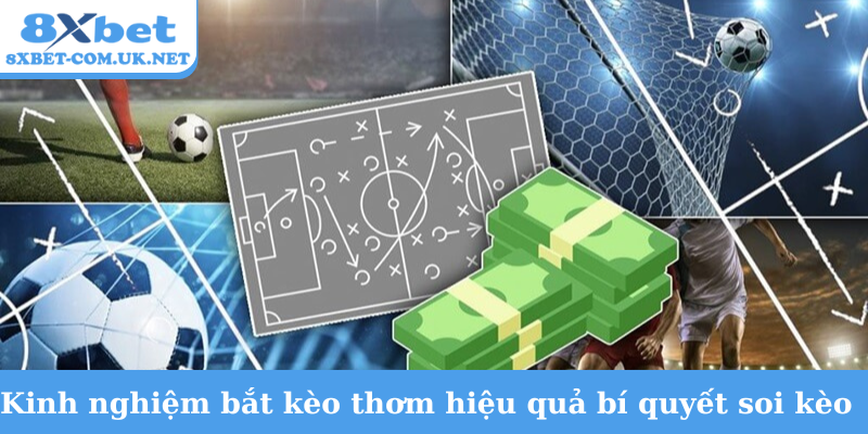 Kinh nghiệm bắt kèo thơm hiệu quả